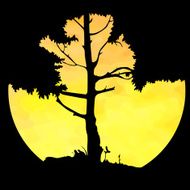 silhouette of a tree against the rising sun