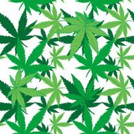 Marijuana N12