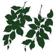 decorative branches