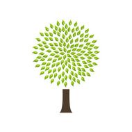 Green tree N23