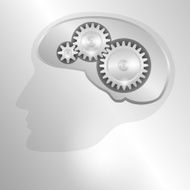 Schematic representation of the human head