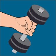Weights design N6