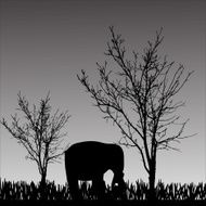 Vector silhouette of elephant