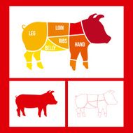 Pork Cuts N2