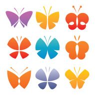 butterfly collection N4