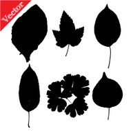 Set of silhouettes leaves trees and flowers N4