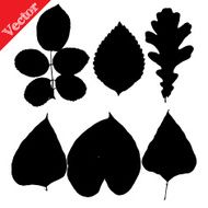 Set of silhouettes leaves trees and flowers N5