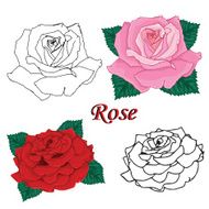 Roses Contours of flowers N2