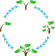 Tree symbols N3