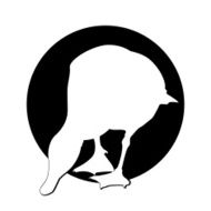 duck symbol N2