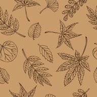 vector silhouette of various leaves N4