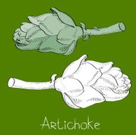 Artichoke Plants On Green Background Illustration
