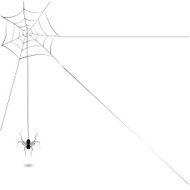 Spider N48