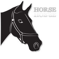 Horse head in black and white vector