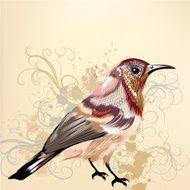 Beautiful vector background with hand drawn colorful bird N2