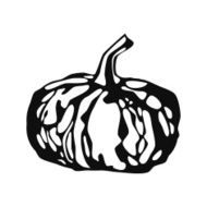 Pumpkin N42