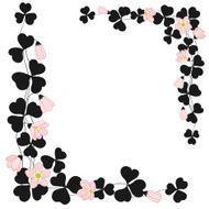 Oxalis frame