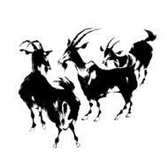 Japanese sheep N10