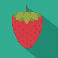 fruits design N41