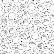 Funny cats N17