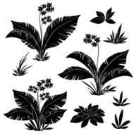 Flowers and grass set silhouettes