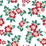 hibiscus repeats N33