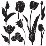 Tulips silhouette set N2