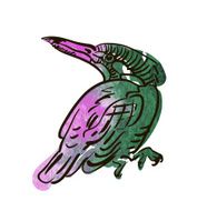 Vector sketch of bird watercolor N2