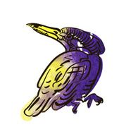 Vector sketch of bird watercolor N7