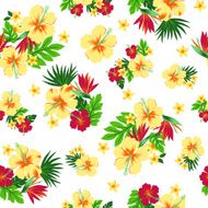 hibiscus repeats N34