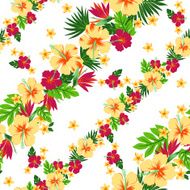 hibiscus repeats N35