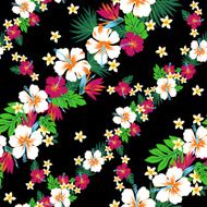 hibiscus repeats N37