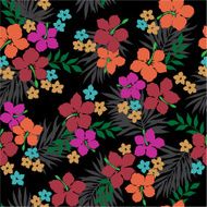 pattern of the