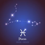 Vector zodiac horoscope - Pisces N2