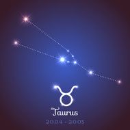 Vector zodiac horoscope - Taurus N2