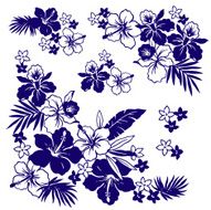 picture of Hibiscus N22