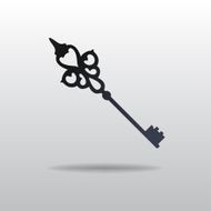 Vector icon of Key N4