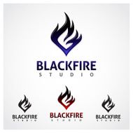 Black Fire Studio