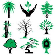 Plants set N2