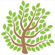 Tree isolated on a white background N3