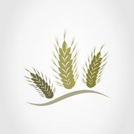 Wheat N18