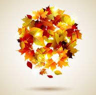Autumn Background N131