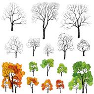 Tree Set N6