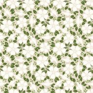 Seamless pattern with flowers and leaves Vector illustration N3