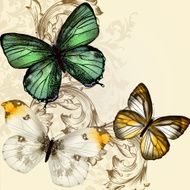 Beautiful vector background with butterflies in vintage style