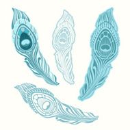 Stylized peacock feather Vector set