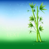 Vector abstract bamboo background Eps10