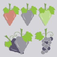 Vector set of grape icon