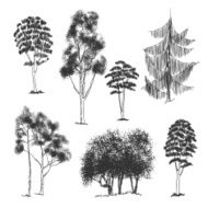 vector hand drawn trees collection