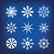 Snowflakes a